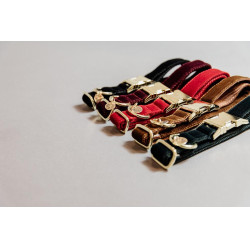 Collare per cane Corduroy Kentucky Nero