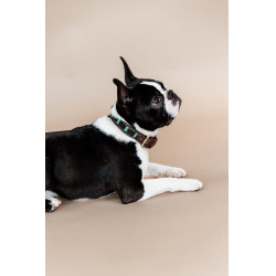 Collare per cane con perle fatte a mano Kentucky Nero
