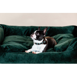 Collare per cane con perle fatte a mano Kentucky Nero