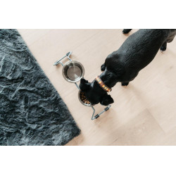 Collare per cane con perle fatte a mano Kentucky Arancione