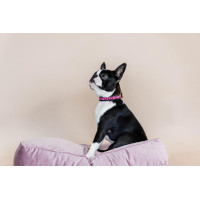 Collare per cane con perle fatte a mano Kentucky Rosa