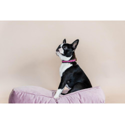Collare per cane con perle fatte a mano Kentucky Rosa