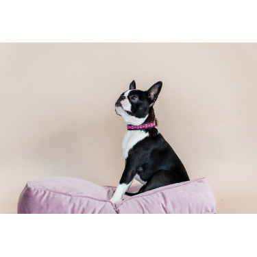 Collare per cane con perle fatte a mano Kentucky Rosa