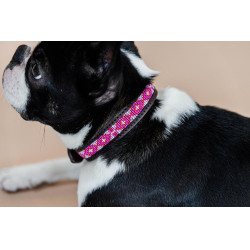 Collare per cane con perle fatte a mano Kentucky Rosa Collare per cane con perle fatte a mano Kentucky Rosa