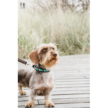 Collare per cane con perle fatte a mano Kentucky Azzurro chiaro Blu