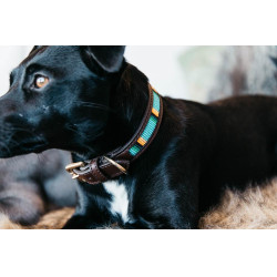 Collare per cane con perle fatte a mano Kentucky Azzurro chiaro Blu