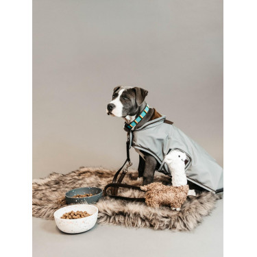 Collare per cane con perle fatte a mano Kentucky Azzurro chiaro Blu