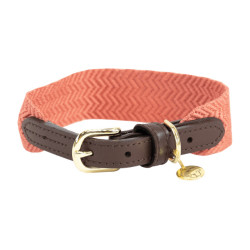 Collare per cane Jacquard Kentucky Terracotta Arancione