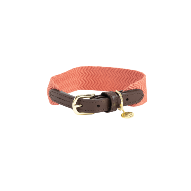Collare per cane Jacquard Kentucky Collare per cane Jacquard Kentucky