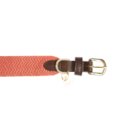 Collare per cane Jacquard Kentucky Terracotta Arancione Collare per cane Jacquard Kentucky Terracotta Arancione