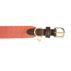 Collare per cane Jacquard Kentucky Terracotta Arancione