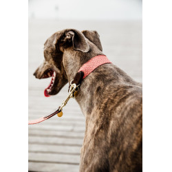 Collare per cane Jacquard Kentucky Terracotta Arancione Collare per cane Jacquard Kentucky Terracotta Arancione