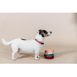 Collare per cane Jacquard Kentucky Terracotta Arancione Collare per cane Jacquard Kentucky Terracotta Arancione