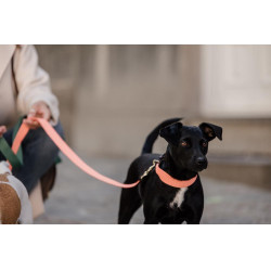 Collare per cane Jacquard Kentucky Arancione neon