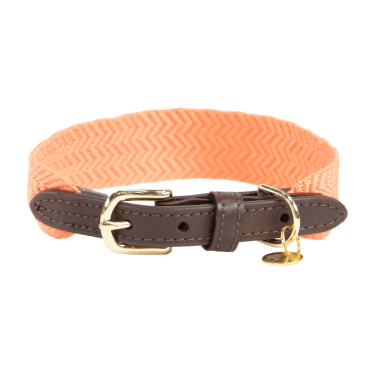Collare per cane Jacquard Kentucky Arancione neon Collare per cane Jacquard Kentucky Arancione neon