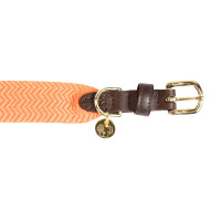Collare per cane Jacquard Kentucky Terracotta Arancione