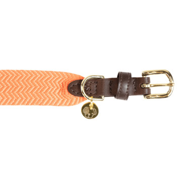 Collare per cane Jacquard Kentucky Arancione neon Collare per cane Jacquard Kentucky Arancione neon
