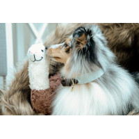 Collare per cane Jacquard Kentucky Terracotta Arancione Collare per cane Jacquard Kentucky Terracotta Arancione