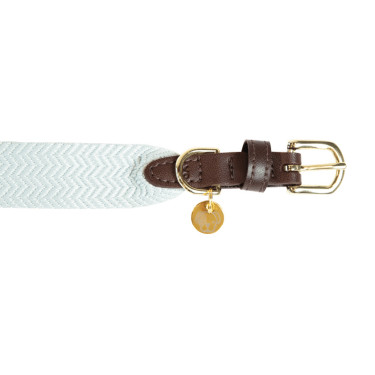 Collare per cane Jacquard Kentucky Azzurro chiaro Blu Collare per cane Jacquard Kentucky Azzurro chiaro Blu