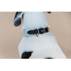 Collare per cane Jacquard Kentucky Azzurro chiaro Blu Collare per cane Jacquard Kentucky Azzurro chiaro Blu