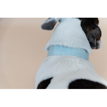 Collare per cane Jacquard Kentucky Azzurro chiaro Blu Collare per cane Jacquard Kentucky Azzurro chiaro Blu