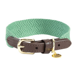 Collare per cane Jacquard Kentucky Verde oliva Collare per cane Jacquard Kentucky Verde oliva