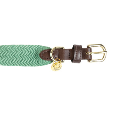 Collare per cane Jacquard Kentucky Verde oliva Collare per cane Jacquard Kentucky Verde oliva