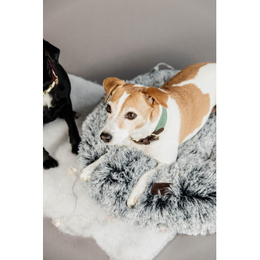 Collare per cane Jacquard Kentucky Verde oliva Collare per cane Jacquard Kentucky Verde oliva