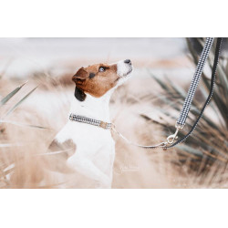 Collare per cane Pied-de-poule Kentucky