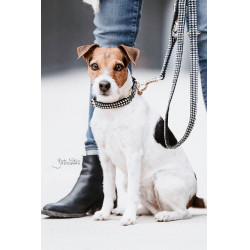 Collare per cane Pied-de-poule Kentucky Nero Collare per cane Pied-de-poule Kentucky Nero
