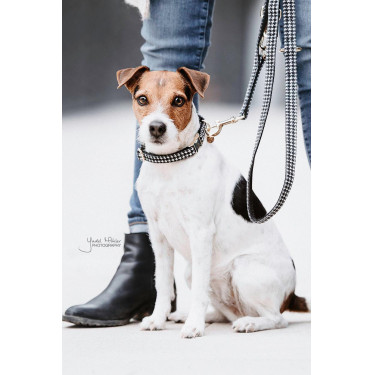 Collare per cane Pied-de-poule Kentucky Collare per cane Pied-de-poule Kentucky
