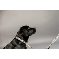 Collare per cane Pied-de-poule Kentucky Nero Collare per cane Pied-de-poule Kentucky Nero