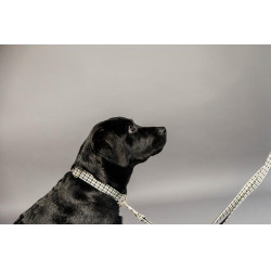 Collare per cane Pied-de-poule Kentucky Marrone