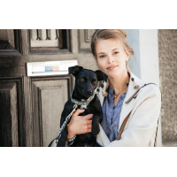 Collare per cane Pied-de-poule Kentucky Nero Collare per cane Pied-de-poule Kentucky Nero