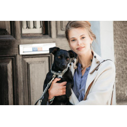 Collare per cane Pied-de-poule Kentucky Marrone