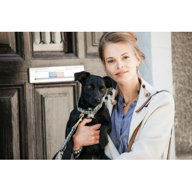 Collare per cane Pied-de-poule Kentucky Marrone