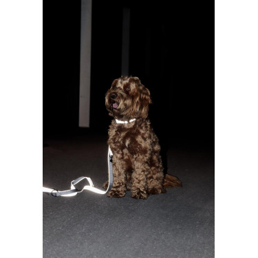 Collare riflettente per cane Kentucky Collare riflettente per cane Kentucky