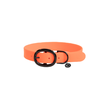 Collare per cane Soft Rubber Kentucky Collare per cane Soft Rubber Kentucky