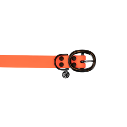 Collare per cane Soft Rubber Kentucky Arancione neon Collare per cane Soft Rubber Kentucky Arancione neon