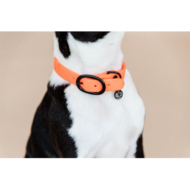 Collare per cane Soft Rubber Kentucky Collare per cane Soft Rubber Kentucky