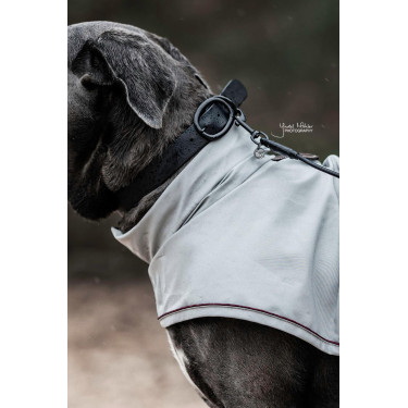 Collare per cane Soft Rubber Kentucky Nero Collare per cane Soft Rubber Kentucky Nero