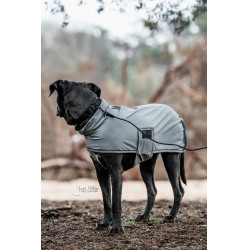 Collare per cane Soft Rubber Kentucky Nero Collare per cane Soft Rubber Kentucky Nero