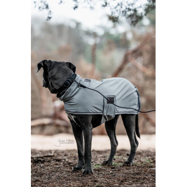 Collare per cane Soft Rubber Kentucky Nero Collare per cane Soft Rubber Kentucky Nero