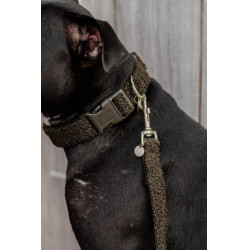 Collare per cane Teddy Fleece Kentucky