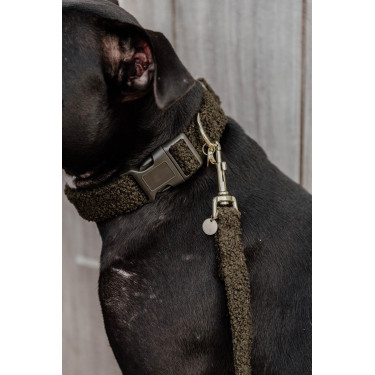 Collare per cane Teddy Fleece Kentucky