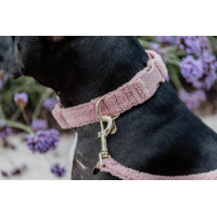Collare per cane Teddy Fleece Kentucky Rosa antico