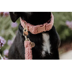 Collare per cane Teddy Fleece Kentucky Rosa antico