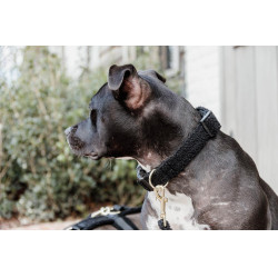 Collare per cane Teddy Fleece Kentucky Nero