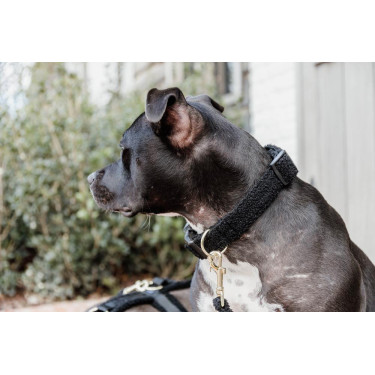 Collare per cane Teddy Fleece Kentucky Nero
