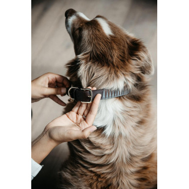 Collare per cane Triangle Kentucky Collare per cane Triangle Kentucky